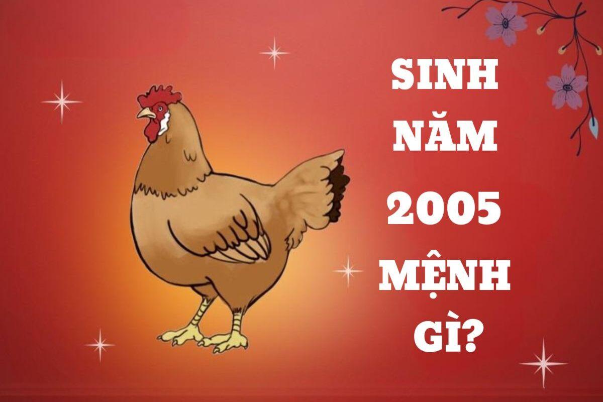 Luận giải người sinh năm 2005 mệnh gì cho thấy bản chủ thuộc mệnh Thủy 